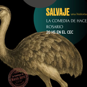 Salvaje cec festival en obra