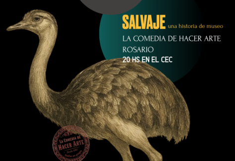 Salvaje cec festival en obra