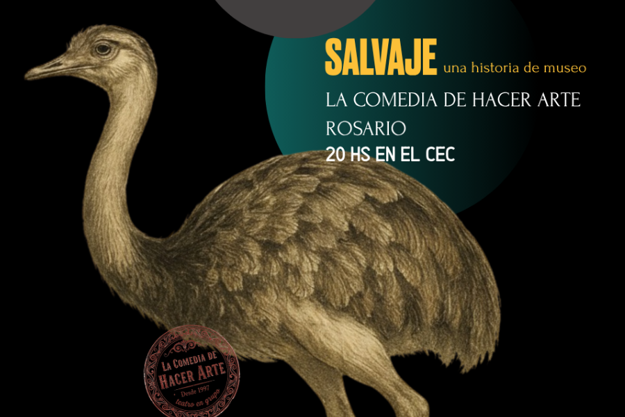 Salvaje cec festival en obra